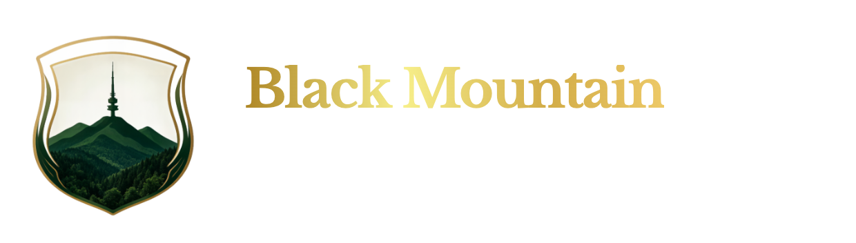 Black Mountain Financial — Strategic Capital Advisory